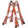 Multi Position Ladder