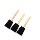 Poly Foam Brush, 3pk - 2"