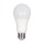 15W A19 LED Bulb