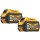 FlexVolt® Max Battery Dual Pack ~ 20v/60v 