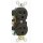 Cbr20000 20a Duplex Outlet