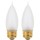 Incandescent Decorative Bulb