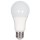 15W A19 LED Bulb