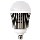 5000 Lumen Bulb
