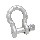 Shackle, Screw Pin 1/4 inch