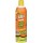 Foaming Wasp/Hornet Killer - 16 oz