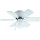 Arcadia Design Ceiling Fan, Gloss White ~ 6 Blades