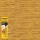 Minwax Wood Stain Marker, Golden Oak