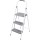 3 Step Type Ii Ladder