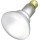 Incand Reflector Bulb