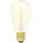 Vintage Light Bulb