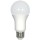 6W A19 LED Bulb