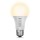 Intellibulb, Color Choice - 60W