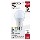 12w A19 5cct Bulb