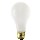 150w A21 Incand Bulb