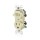 Combo Switch and Outlet, Grounded - 15 Amp, Light Almond
