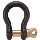 Anchor Shackle, 1/2 inch 