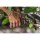 Corona ClassicCUT Forged Bypass Pruner - 3/4"