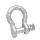 Shackle Screw Pin, 1 inch